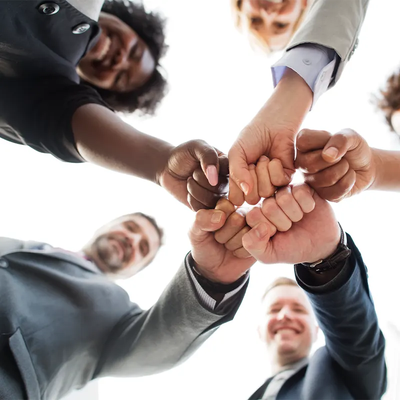 © Blue Crystal Consult | Careers